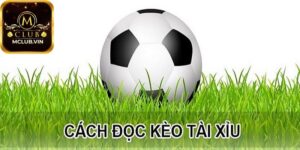 Các trường hợp xảy ra trong Kèo Tài Xỉu
