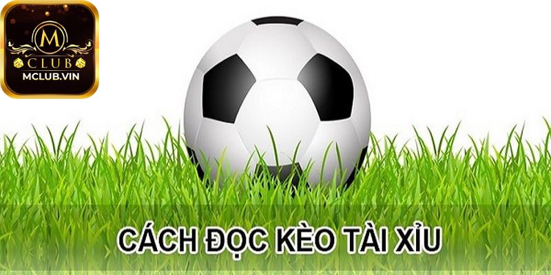 Các trường hợp xảy ra trong Kèo Tài Xỉu