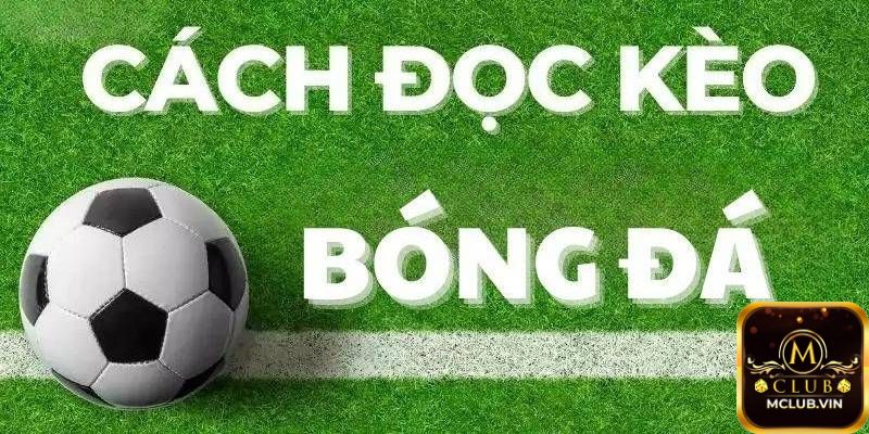 Hướng dẫn cách đọc kèo 1/4 là gì?